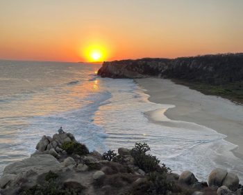 WhatsApp Image 2024-08-06 at 08.01.13